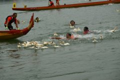 200只鸭子入江中