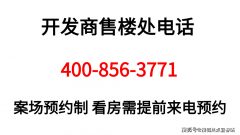 你能够向他们征询关于汇金国际金融中问题